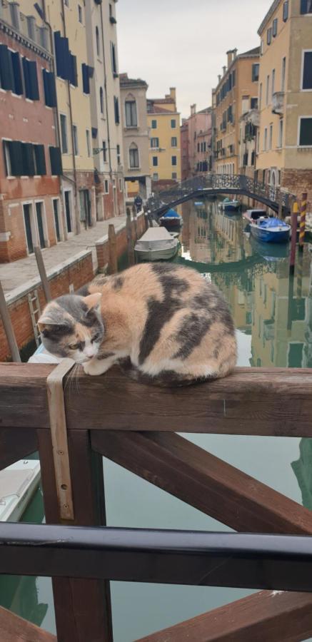 Magic Casanova Flat In The Heart Of Venice Apartment Ngoại thất bức ảnh